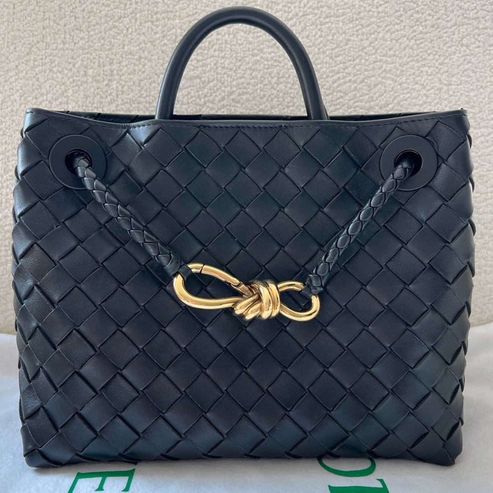 Bottega Veneta Andiamo small